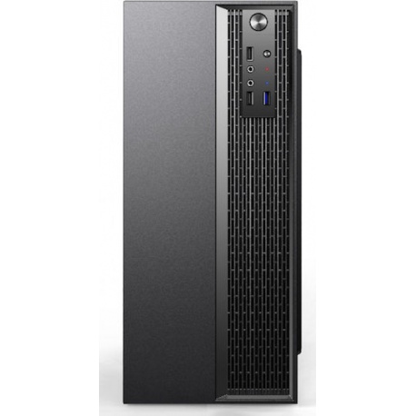 Lion Office 6 :AMD RYZEN 5 4600G , 8 GB DDR4, SSD 256GB sata3 , VIDEO integrat